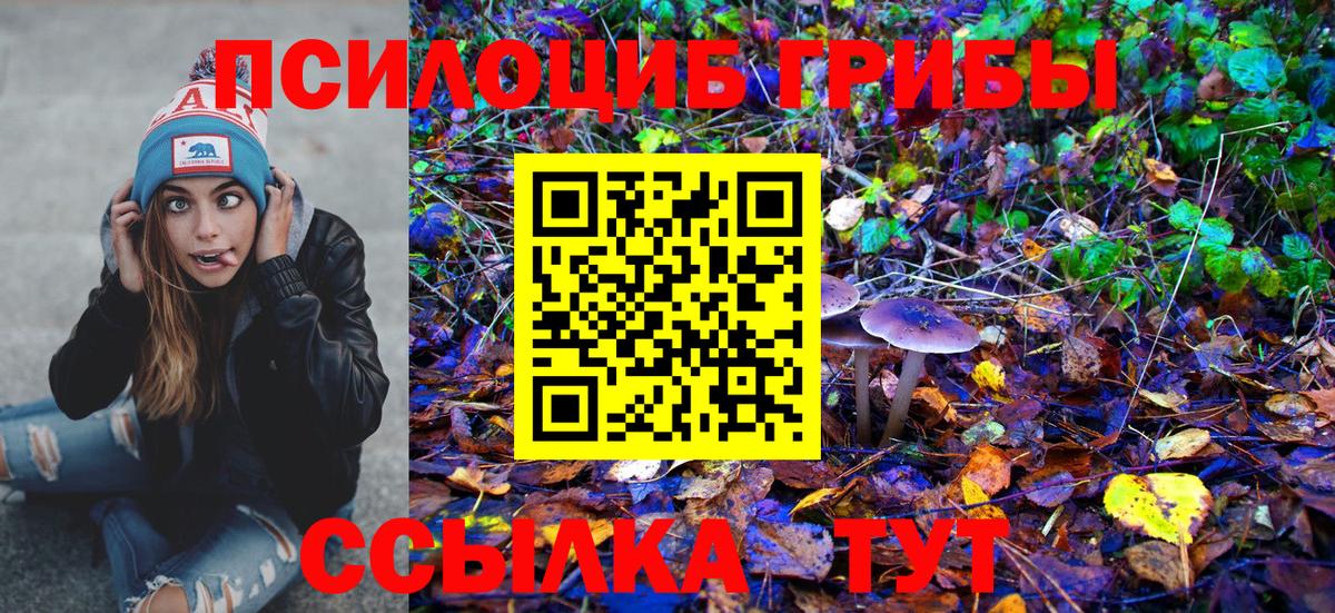 Псилоцибиновые грибы прущие грибы Барабинск